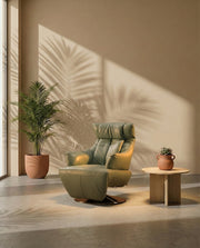 RECLINER CHAIRS AND LOUNGES