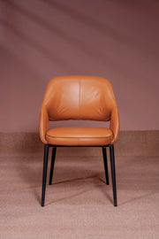 Aro Contour Dining Chair