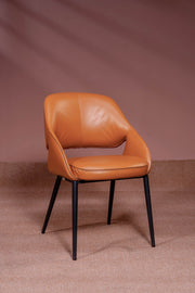 Aro Contour Dining Chair