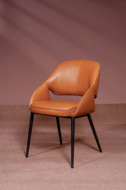 Aro Contour Dining Chair
